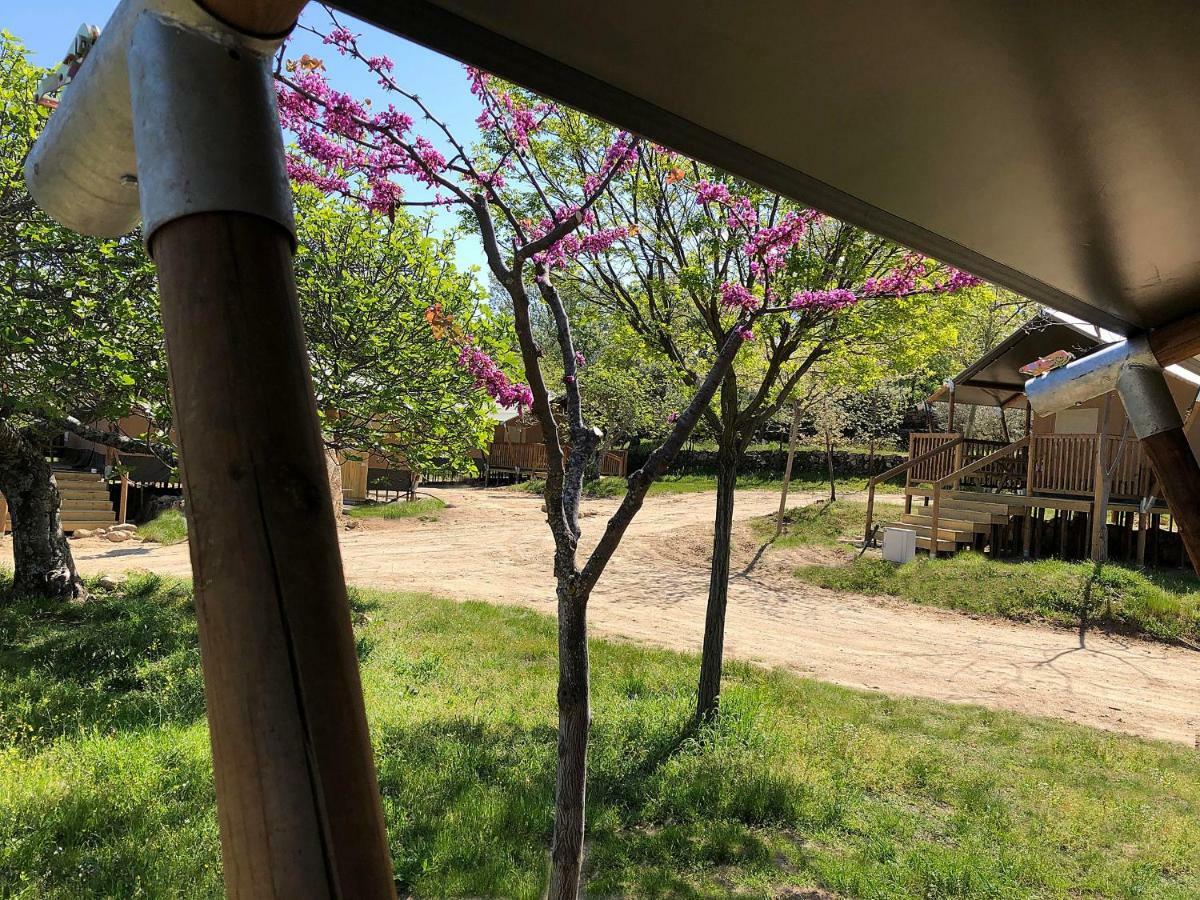 Veragua. Glamping Y Apartamentos Turisticos Вільянуева-де-ла-Вера Екстер'єр фото